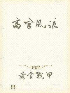 高官风流