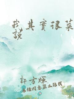 我其实很菜的小说