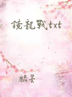 镜龙战txt