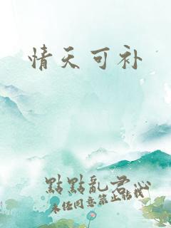 情天可补