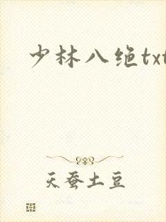 少林八绝txt