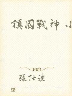 镇国战神 小说