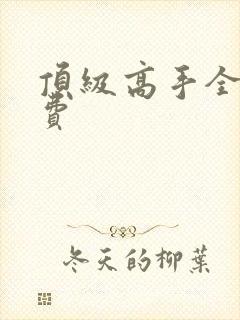 顶级高手全文免费