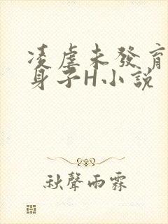 凌虐未发育的小身子H小说