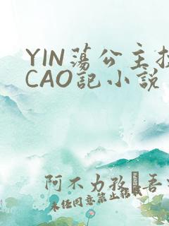 YIN荡公主挨CAO记小说