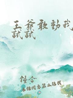 王爷敢动我妈咪试试