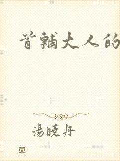 首辅大人的套路