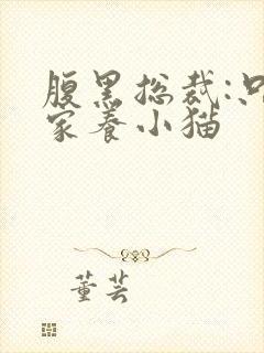 腹黑总裁:只疼家养小猫