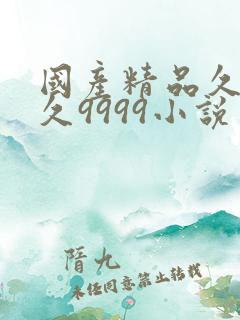 国产精品久久久久9999小说