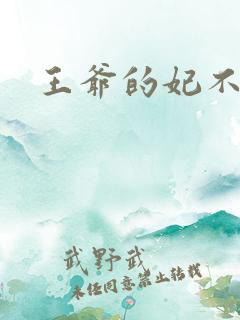 王爷的妃不是妃