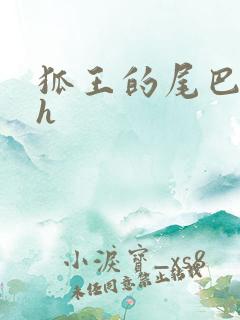 狐王的尾巴高ah