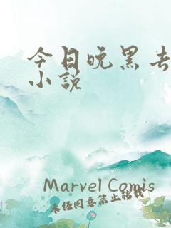今日晚黑去见你小说