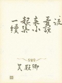 一起来看流星雨续集小说