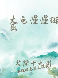 大龟慢慢挺进张燕