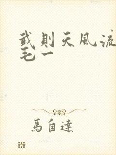 武则天风流艳情毛一