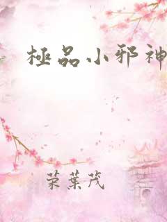 极品小邪神