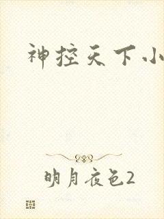 神控天下小说