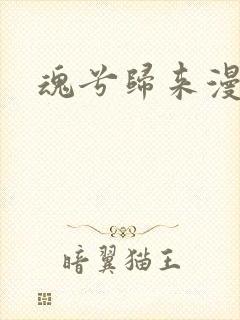 魂兮归来漫蒹葭