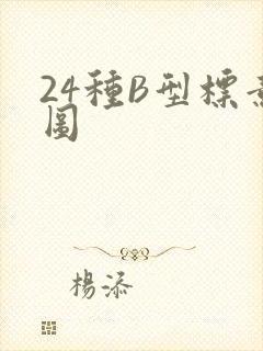 24种B型标意图