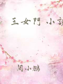 玉女门 小说