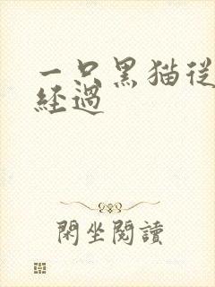 一只黑猫从眼前经过