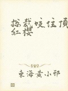 总裁咬住顶端的红樱