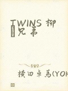TWINS 柳澤兄弟