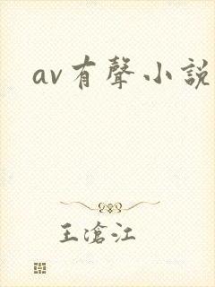 av有声小说