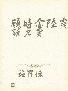 顾时念陆霆骁小说免费