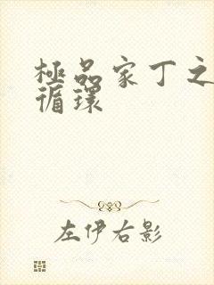 极品家丁之因果循环