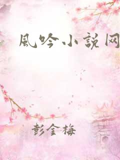 风吟小说网