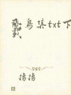 飞鸟集txt下载