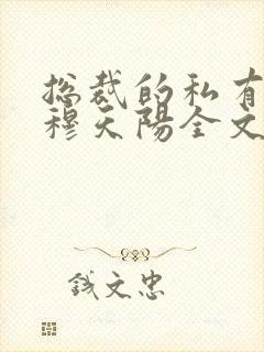 总裁的私有宝贝穆天阳全文阅读