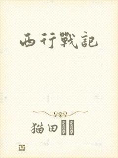 西行战记