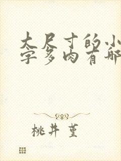 大尺寸的小黄说字多肉有哪些