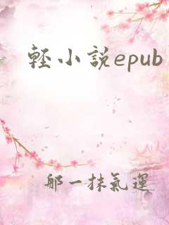 轻小说epub