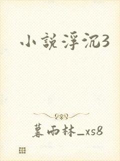小说浮沉3