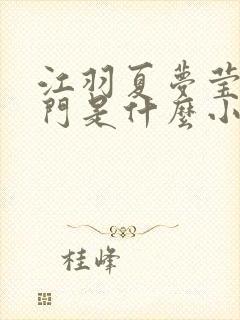 江羽夏梦莹神谕门是什么小说