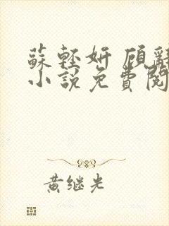 苏轻妍 顾辞笙小说免费阅读