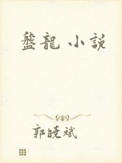 盘龙 小说