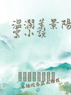 温澜叶景阳温云云小说