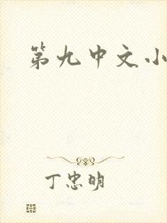 第九中文小说网