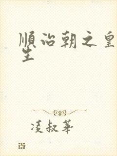 顺治朝之皇后重生