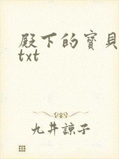 殿下的宝贝公主txt