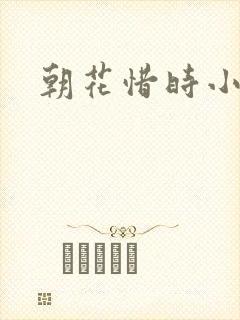 朝花惜时小说