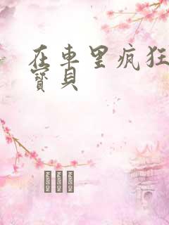 在车里疯狂挺进宝贝