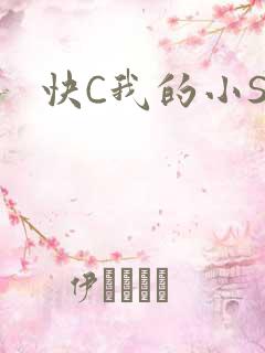 快C我的小SB
