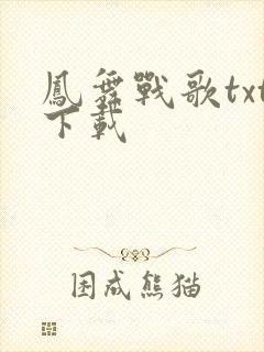 凤舞战歌txt下载