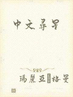 中文寻星