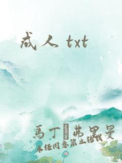 成人 txt